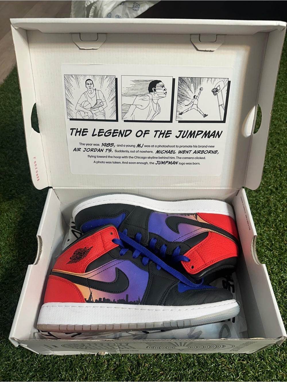 Jordan Skyline Mid Sneakers - Red / Purple / Black